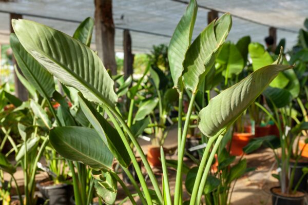 WhatsApp Image 2023-08-11 at 09.17.14 (1) WhatsApp Image 2023-08-11 at 09.17.14 (1)