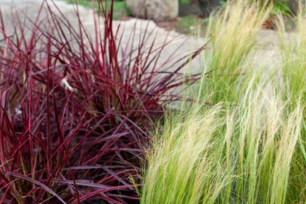 WhatsApp Image 2023-08-11 at 09.17.14 (2) WhatsApp Image 2023-08-11 at 09.17.14 (2)