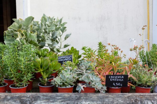 WhatsApp Image 2023-08-11 at 09.17.14 (3) WhatsApp Image 2023-08-11 at 09.17.14 (3)