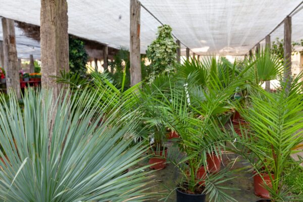 WhatsApp Image 2023-08-11 at 09.17.14 (4) WhatsApp Image 2023-08-11 at 09.17.14 (4)