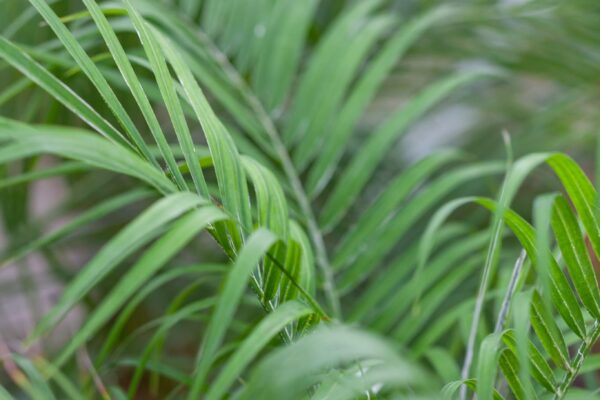 WhatsApp Image 2023-08-11 at 09.17.14 (5) WhatsApp Image 2023-08-11 at 09.17.14 (5)