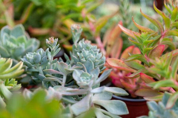 WhatsApp Image 2023-08-11 at 09.17.14 (6) WhatsApp Image 2023-08-11 at 09.17.14 (6)