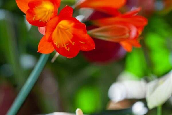 WhatsApp Image 2023-08-11 at 09.17.14 WhatsApp Image 2023-08-11 at 09.17.14