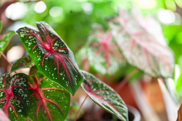 WhatsApp Image 2023-08-11 at 09.17.14 (7) WhatsApp Image 2023-08-11 at 09.17.14 (7)