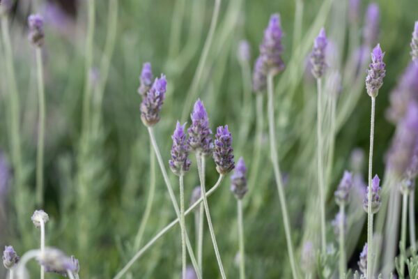 WhatsApp Image 2023-08-11 at 09.17.15 (1) WhatsApp Image 2023-08-11 at 09.17.15 (1)