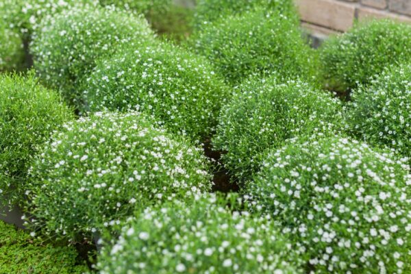 WhatsApp Image 2023-08-11 at 09.17.15 (3) WhatsApp Image 2023-08-11 at 09.17.15 (3)