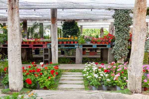 WhatsApp Image 2023-08-11 at 09.17.15 (4) WhatsApp Image 2023-08-11 at 09.17.15 (4)