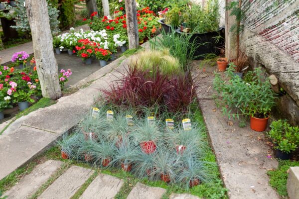 WhatsApp Image 2023-08-11 at 09.17.15 (5) WhatsApp Image 2023-08-11 at 09.17.15 (5)