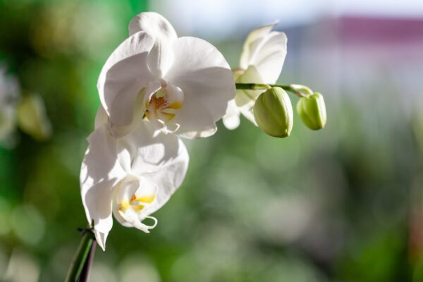 WhatsApp Image 2023-08-11 at 09.17.15 (6) WhatsApp Image 2023-08-11 at 09.17.15 (6)