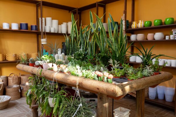 WhatsApp Image 2023-08-11 at 09.17.15 WhatsApp Image 2023-08-11 at 09.17.15