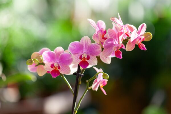 WhatsApp Image 2023-08-11 at 09.17.15 (7) WhatsApp Image 2023-08-11 at 09.17.15 (7)