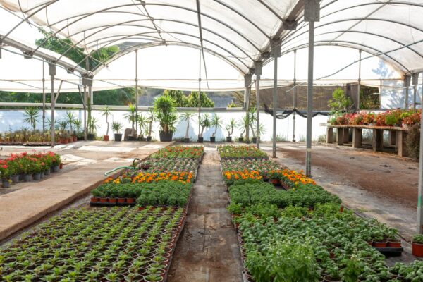 WhatsApp Image 2023-08-11 at 09.17.16 (1) WhatsApp Image 2023-08-11 at 09.17.16 (1)