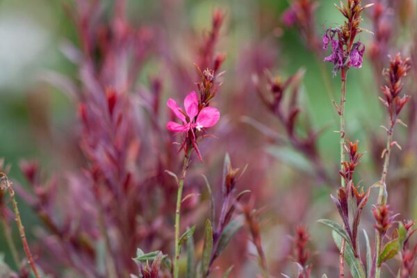 WhatsApp Image 2023-08-11 at 09.17.16 (2) WhatsApp Image 2023-08-11 at 09.17.16 (2)