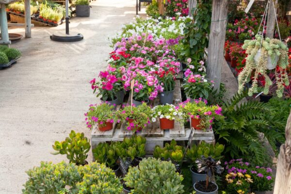 WhatsApp Image 2023-08-11 at 09.17.16 (5) WhatsApp Image 2023-08-11 at 09.17.16 (5)