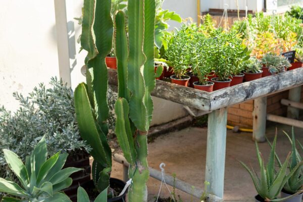 WhatsApp Image 2023-08-11 at 09.17.16 (6) WhatsApp Image 2023-08-11 at 09.17.16 (6)