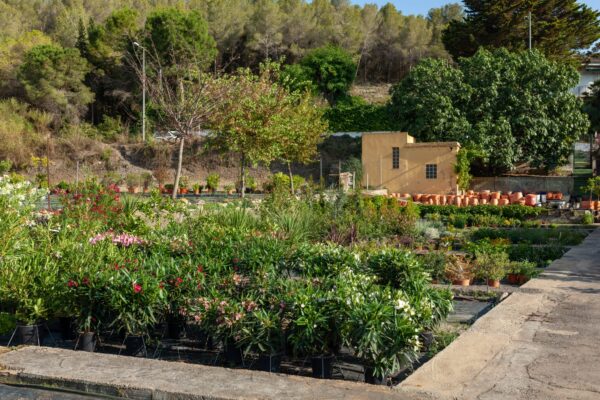 WhatsApp Image 2023-08-11 at 09.17.16 (7) WhatsApp Image 2023-08-11 at 09.17.16 (7)