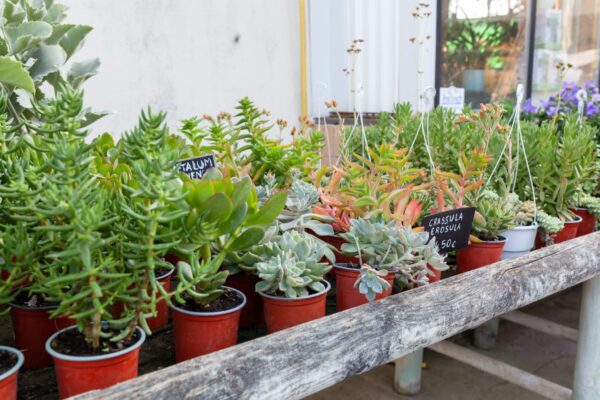 WhatsApp Image 2023-08-11 at 09.17.17 (1) WhatsApp Image 2023-08-11 at 09.17.17 (1)