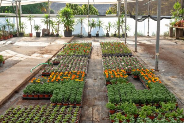 WhatsApp Image 2023-08-11 at 09.17.17 (2) WhatsApp Image 2023-08-11 at 09.17.17 (2)