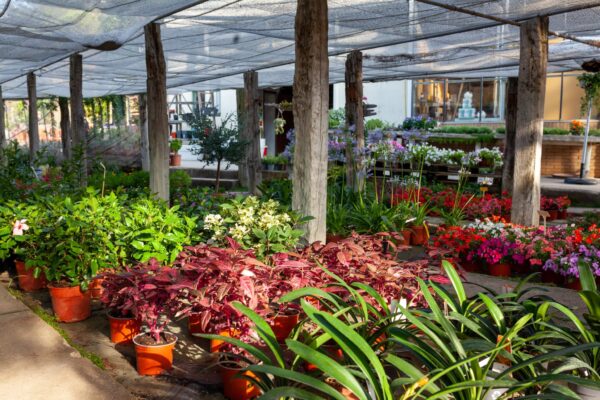 WhatsApp Image 2023-08-11 at 09.17.17 (3) WhatsApp Image 2023-08-11 at 09.17.17 (3)