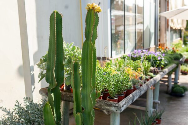 WhatsApp Image 2023-08-11 at 09.17.17 (5) WhatsApp Image 2023-08-11 at 09.17.17 (5)