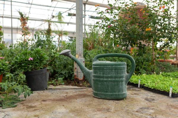 WhatsApp Image 2023-08-11 at 09.17.17 WhatsApp Image 2023-08-11 at 09.17.17