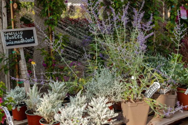 WhatsApp Image 2023-08-11 at 09.17.17 (7) WhatsApp Image 2023-08-11 at 09.17.17 (7)