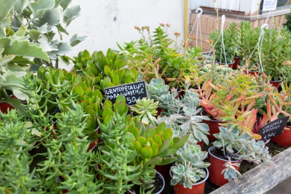 WhatsApp Image 2023-08-11 at 09.17.17 (8) WhatsApp Image 2023-08-11 at 09.17.17 (8)