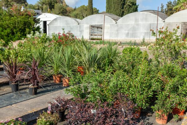 WhatsApp Image 2023-08-11 at 09.17.18 (1) WhatsApp Image 2023-08-11 at 09.17.18 (1)