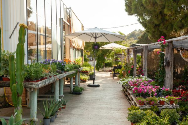 WhatsApp Image 2023-08-11 at 09.17.18 (2) WhatsApp Image 2023-08-11 at 09.17.18 (2)