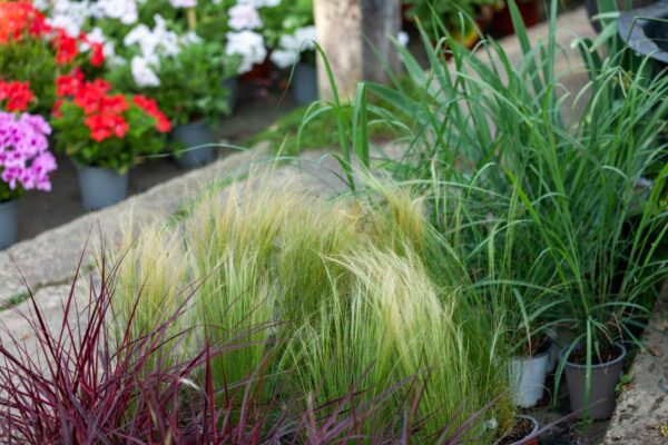 WhatsApp Image 2023-08-11 at 09.17.18 WhatsApp Image 2023-08-11 at 09.17.18